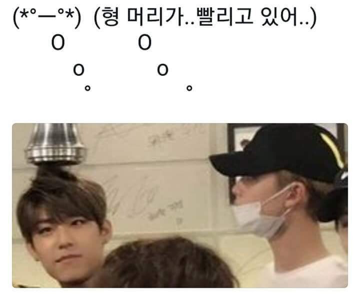 블리 이미지
