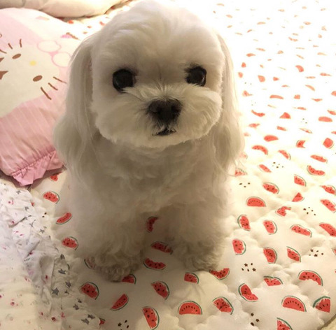 저 머리 묶은게 이뻐요, 아님 푸른게 이뻐요ㅠㅠ?? | 인스티즈