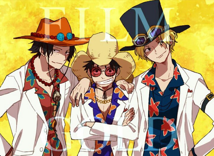 원피스 에이스의 죽음 아쉽다 VS 아니다 | 인스티즈