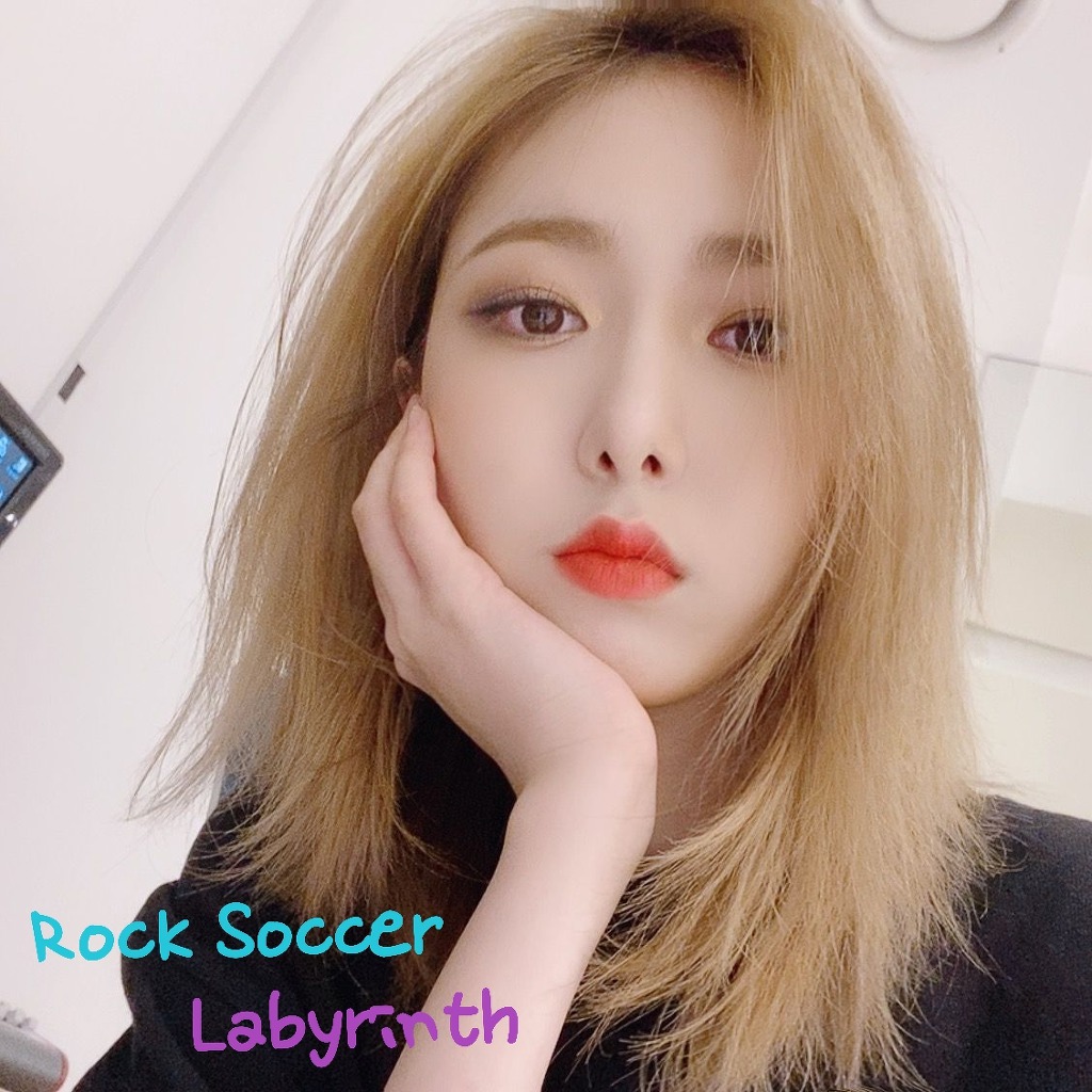 사람이 던진 돌에 맞아 절벽에서 떨어져 익사한 곰.gif | 인스티즈