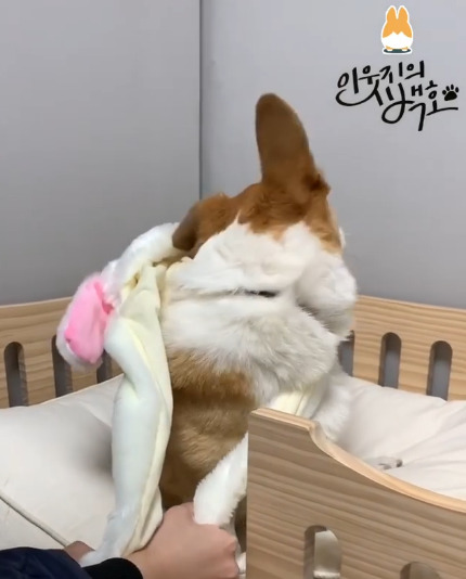 인싸템이 싫은 백호.jpgif | 인스티즈