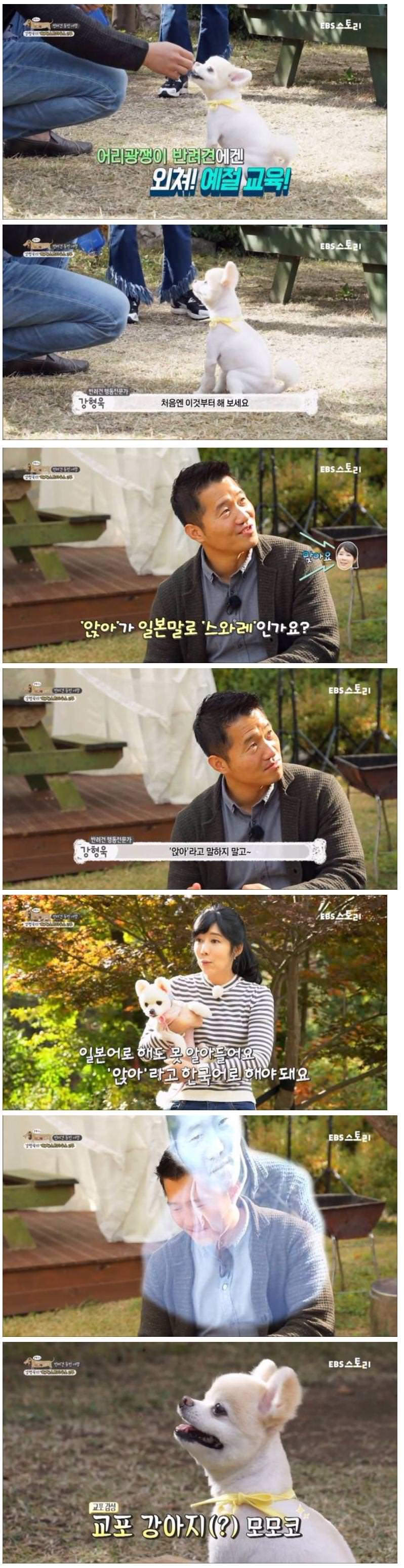 사유리 애견 클라스.jpg | 인스티즈