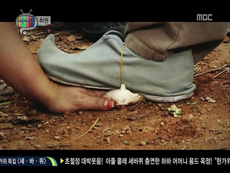 추석특집 무한도전 | 인스티즈