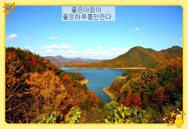 늘처음처럼 이미지