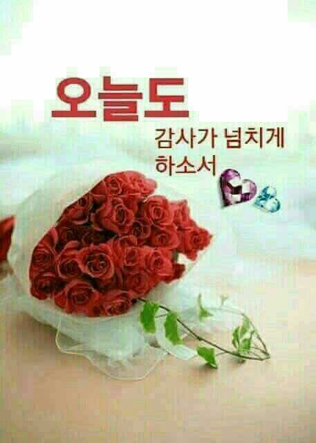 오늘도예쁜하루 이미지