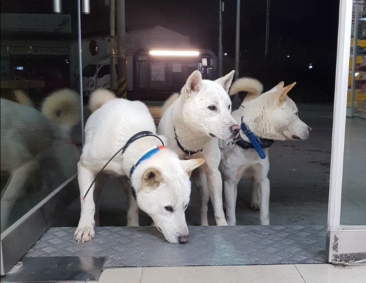 동네마트 이미지