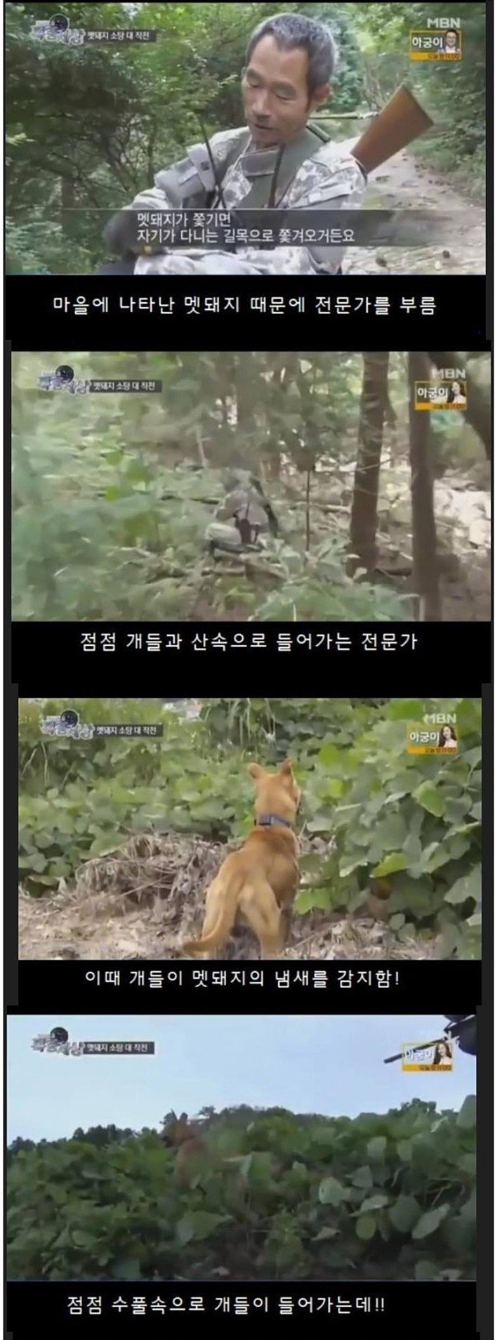 사냥개의 위엄 ㄷㄷㄷ | 인스티즈
