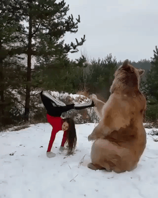 인간과 놀아주는 곰.gif | 인스티즈