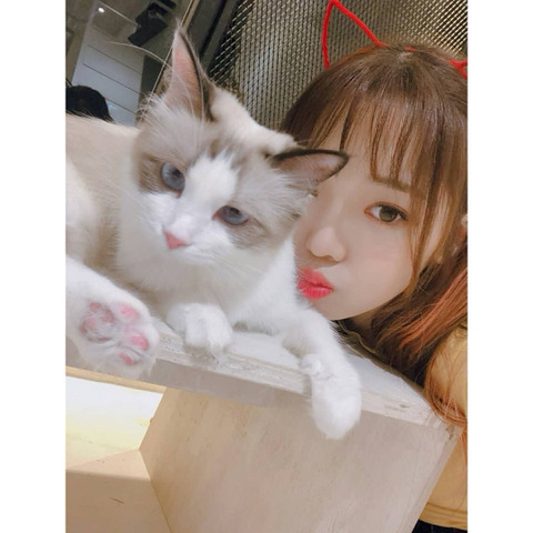 냥이까페간 프로미스 나인 | 인스티즈