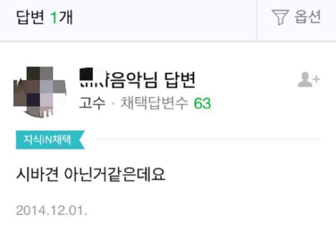 이 강아지 시바견 맞나요? | 인스티즈