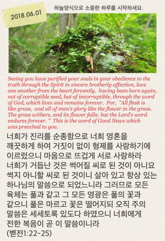 더믿음 이미지