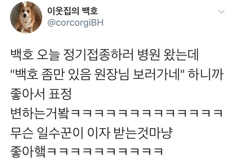 댕댕이의 고정픽은 동물병원 원장님 | 인스티즈