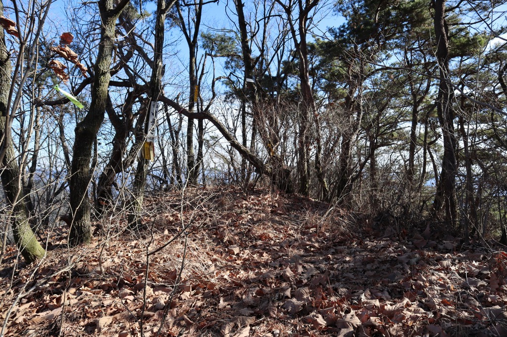 비룡산 정상 이미지