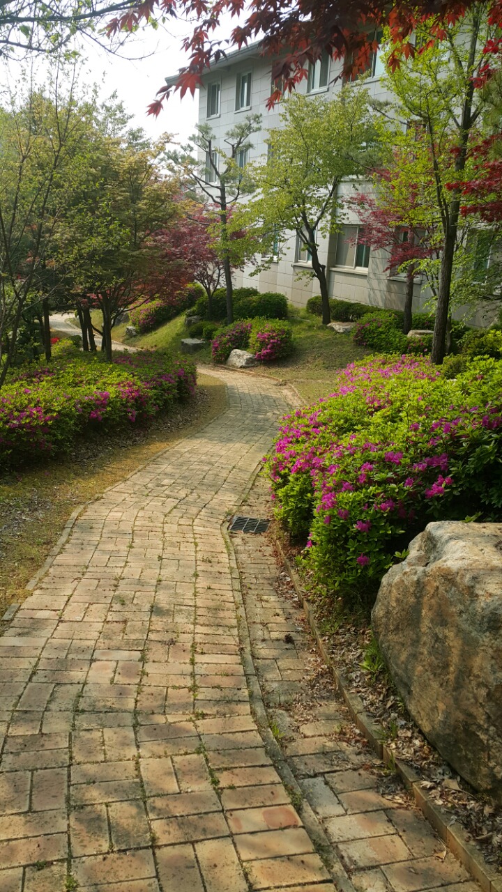 샌드위치데이 이미지