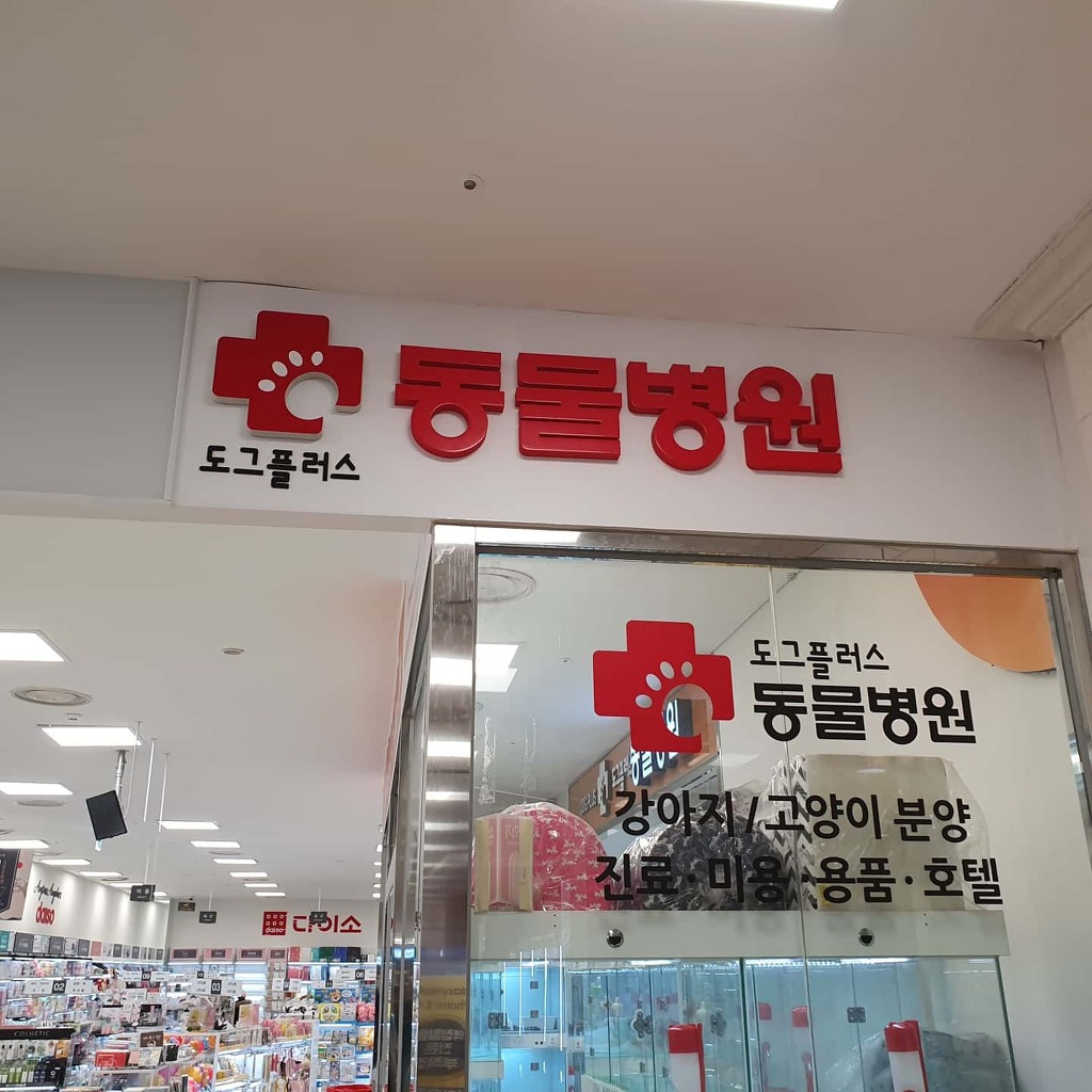 월드광고 이미지