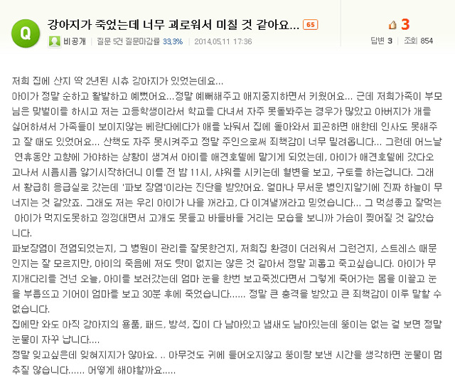처음 반려동물 키우기 시작했을 때 너무 좋고 예뻐서 생각하지 못하는 것.jpg | 인스티즈