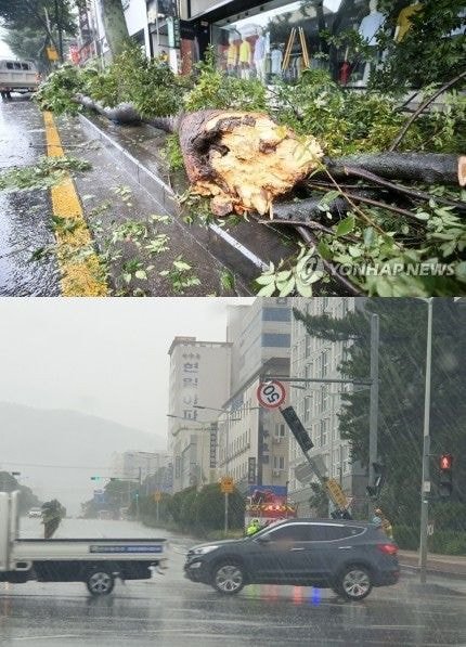 태풍 이미지