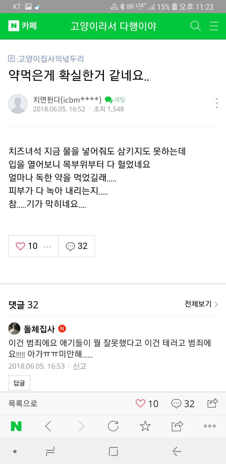 후원받은 사료를 먹은 고양이카페 고양이들이 죽었습니다 | 인스티즈