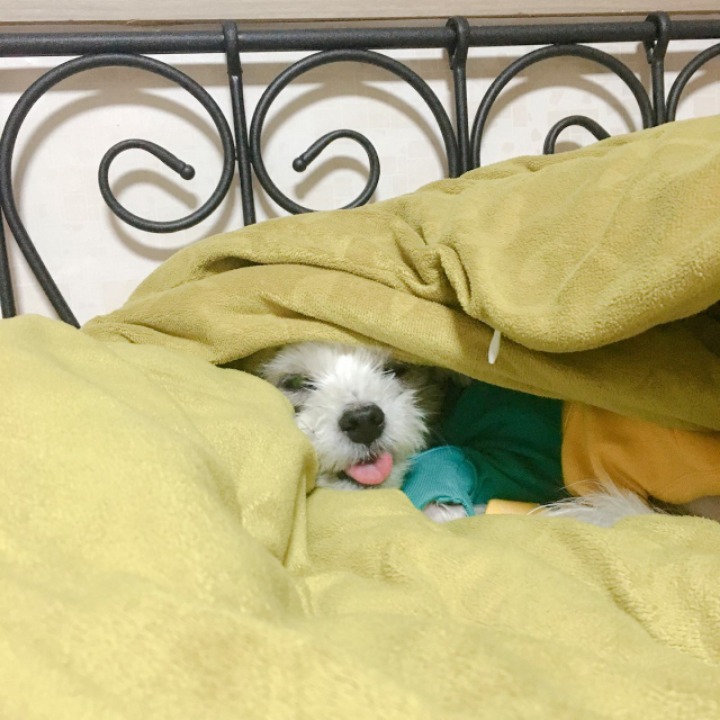 또또 이미지