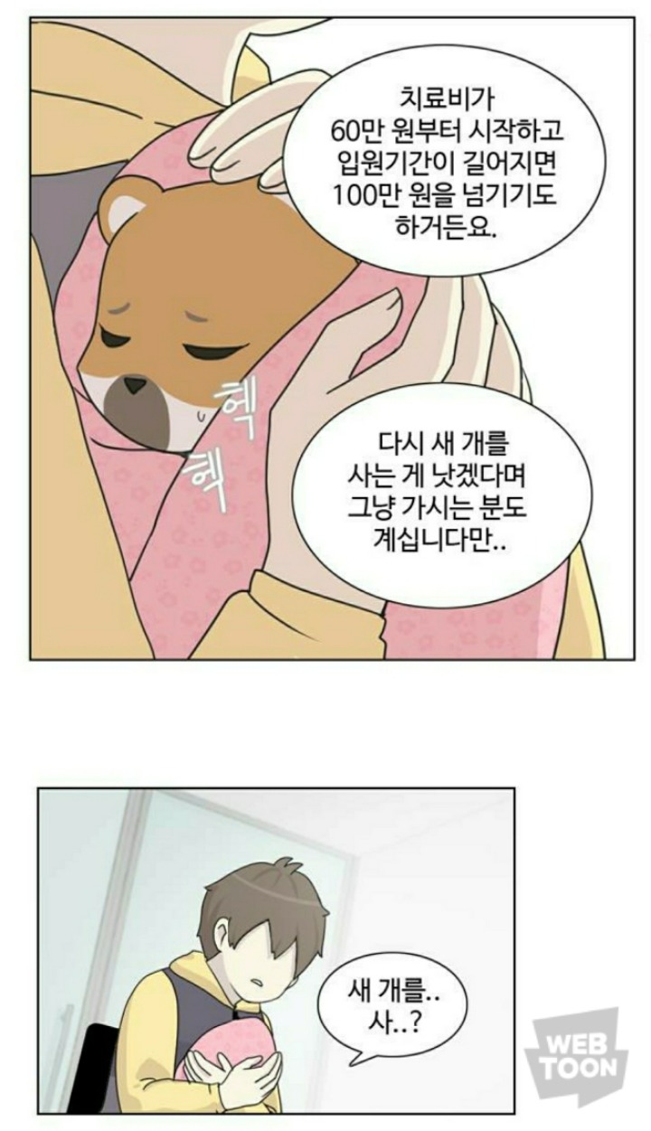 병든 강아지가 분양 후에 아파하는 이유 | 인스티즈