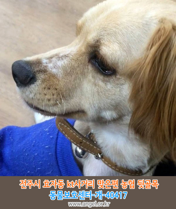 수컷 이미지