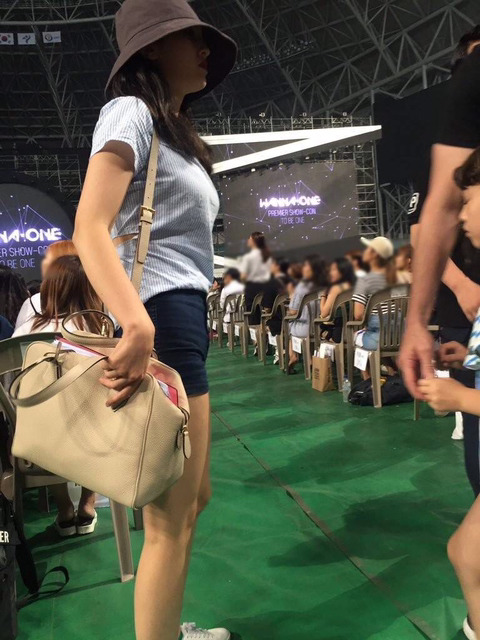보로 이미지