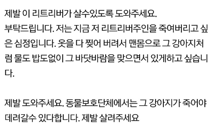 불쌍한 리트리버 | 인스티즈