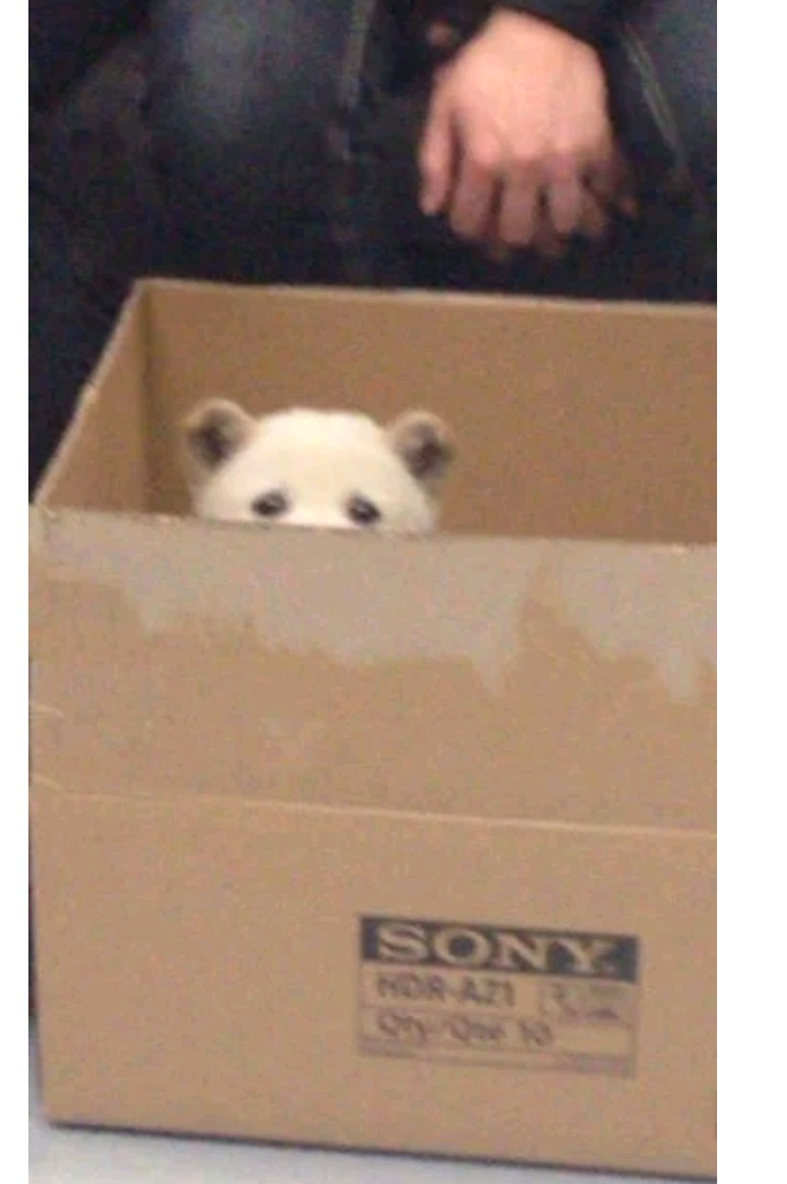 큰집 이미지