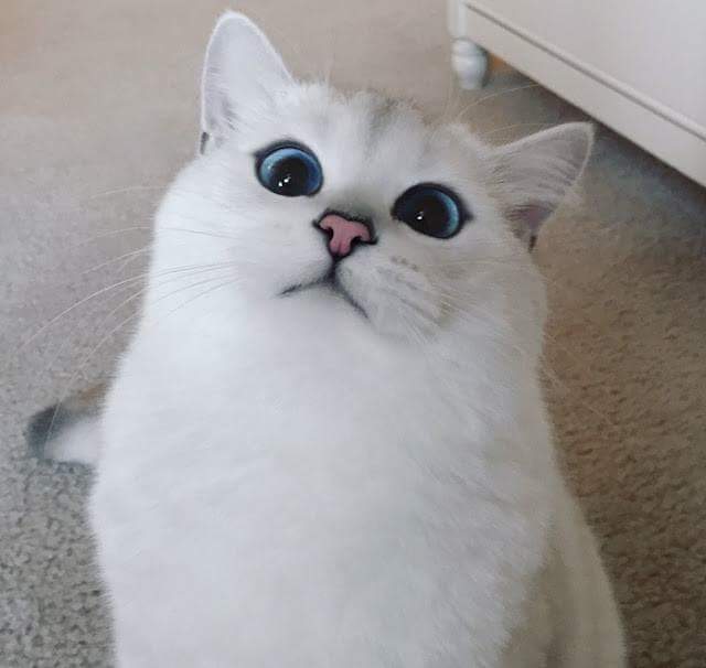 오늘알바 이미지