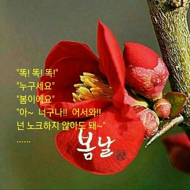 어느봄날 이미지