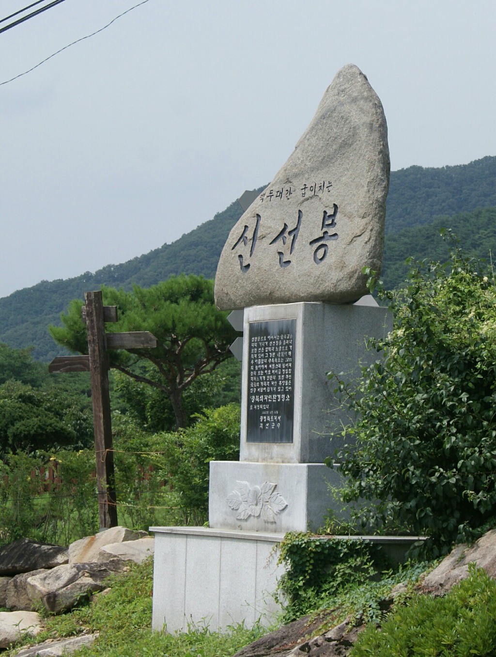 신성봉 이미지