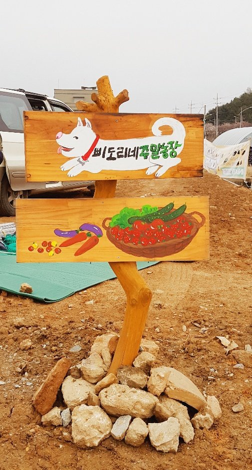 달고요 이미지