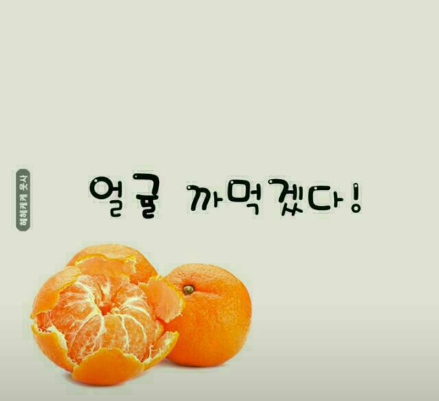 즐거운하루 이미지