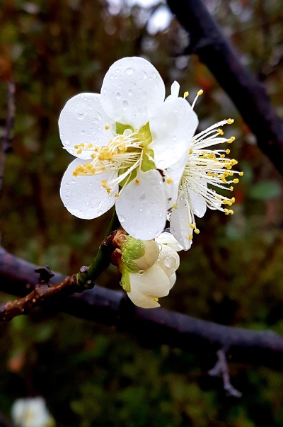 9984DD475C974BA4028BAB