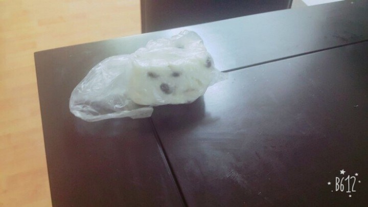 호에에엥 주인님 그건 가짜애오 | 인스티즈