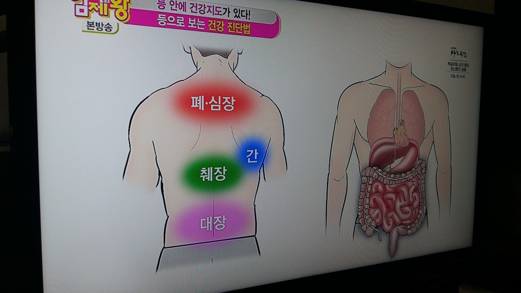 자연만세 이미지