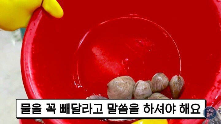 수산시장에서 바가지 안당하는법.JPG | 인스티즈