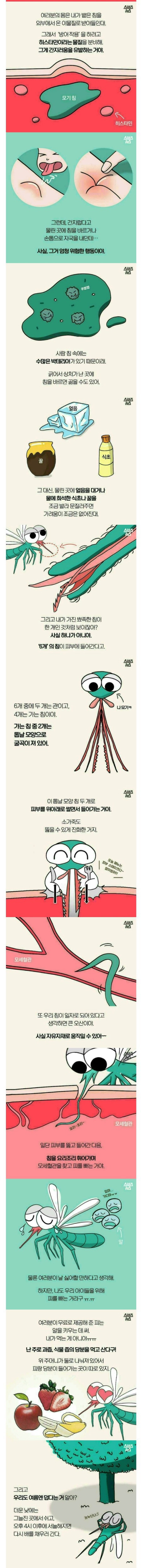 안녕 난 모기라고 해 | 인스티즈