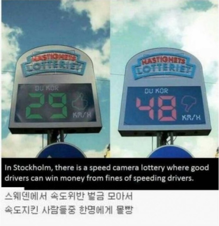 스웨덴에서 시행하는 도로위의 로또 | 인스티즈