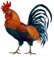 계 이미지
