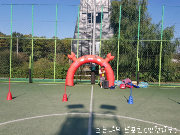 좋은나무유치원 이미지