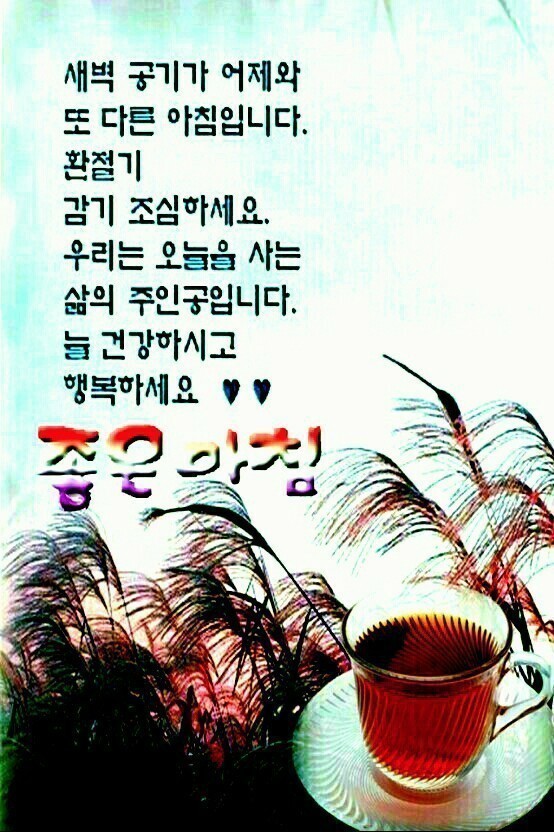 오늘은왠지 이미지