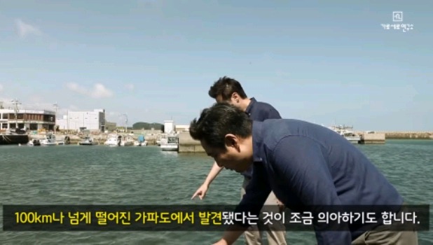 제주30대 캠핑여성 실종사건과 난민을 엮는 가로세로연구소.jpg | 인스티즈