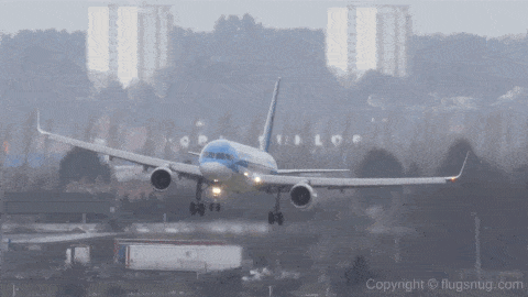 베트남 여행간 한국인들 상황...gif | 인스티즈