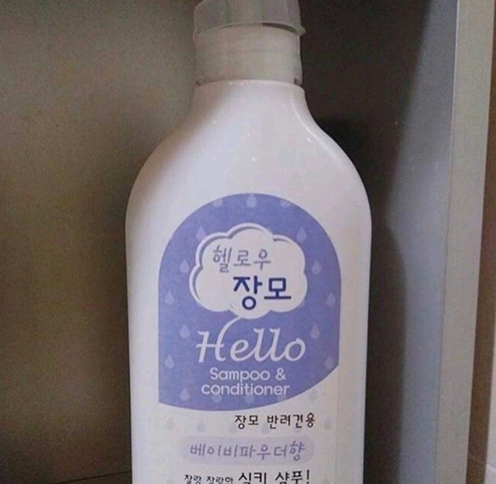 외국인 사위의 첫 인사 | 인스티즈