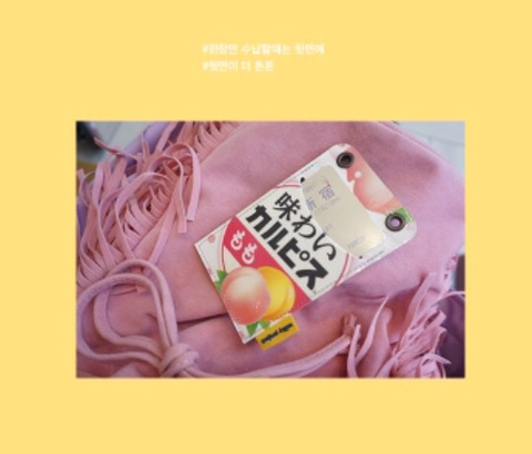 우유팩을 재활용해서 만든 동전지갑 | 인스티즈