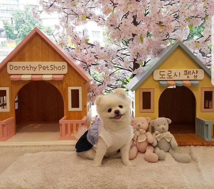 고기굽기 장인이라는 돈스파이크의 역대급 고기먹방 | 인스티즈