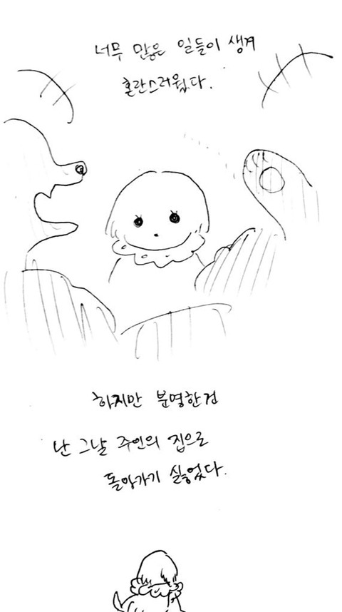 나의 아름다운 애완인간2 | 인스티즈