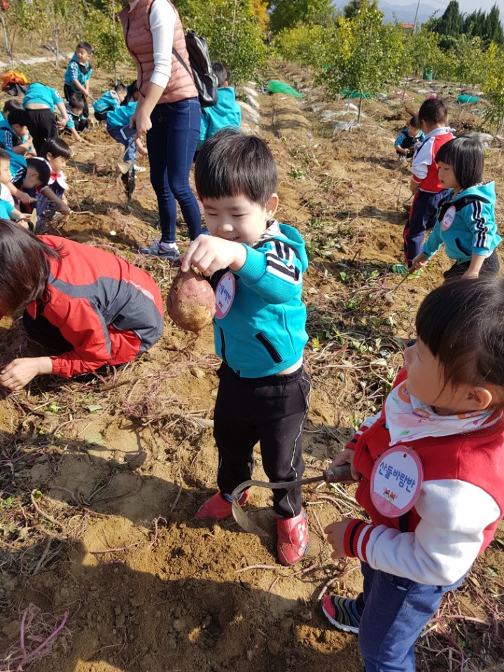 산들바람농장 이미지
