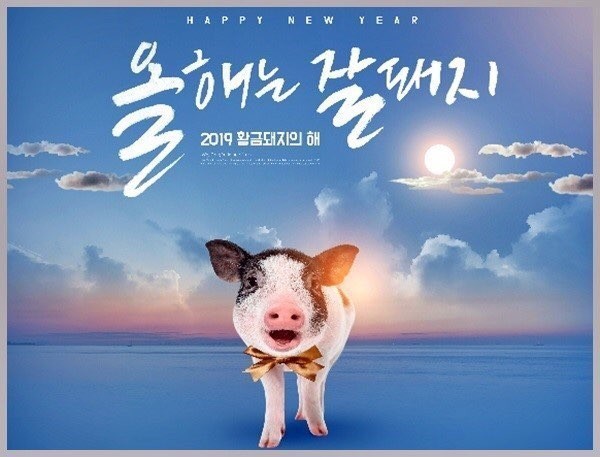 잘돼지 이미지